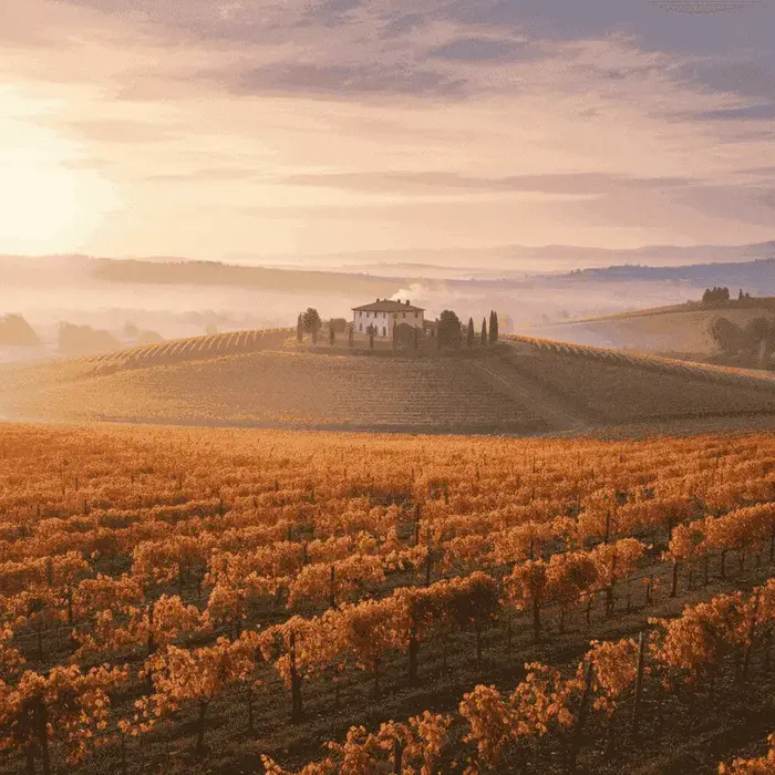 Sunrise over a rolling Tuscan vineyard with a small farmhouse