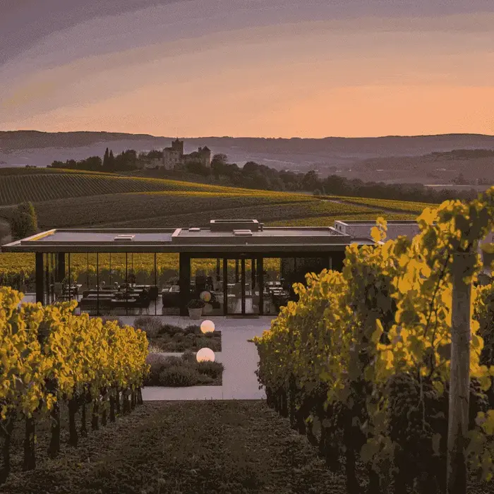 Weingut Bardoix 2026: Ein unverzichtbarer Leitfaden für Besuch und Verkostung
